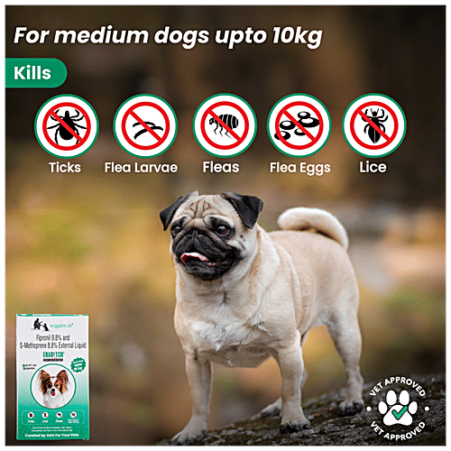 How To Treat Flea Eggs On Dogs