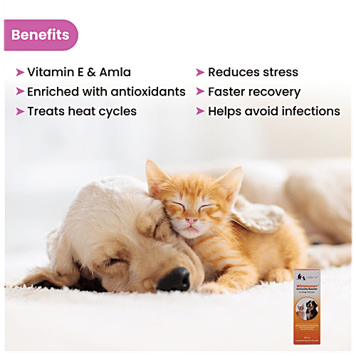 Buy Wiggles.in Wimmuno+ Immunity Booster Probiotics Syrup Supplement Dogs Cats Multivitamin