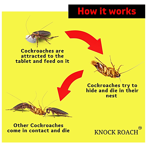 Knock Roach Knock Roach Repellent Tablet - Safe, Simple & Effective, 20 g  