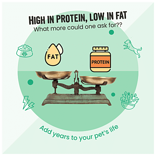 Bark Out Loud Veggie Bacon - Low Fat, High Protein Vegan Treats, made in Spain for dogs, 100 g