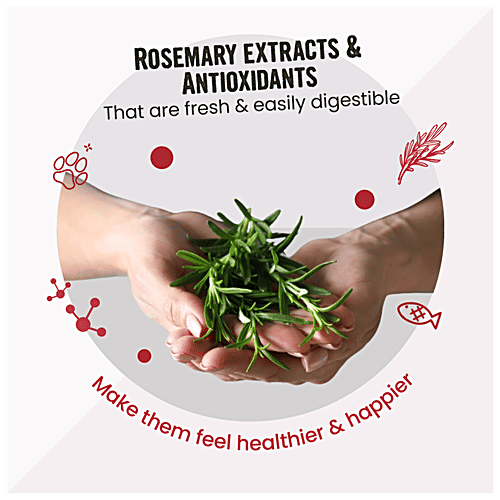 Buy Bark Out Loud Chunky Bites Fish Treats, with Rosemary Extracts