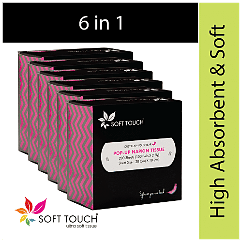 Soft Touch Informal Facial Napkin Tissues - 2 Ply, 200 pcs Box 