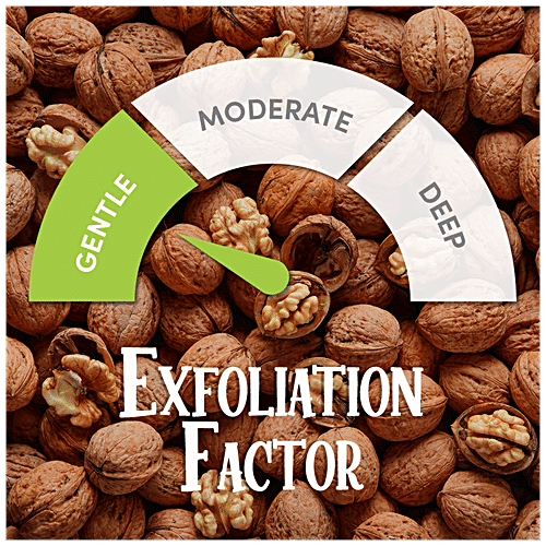 St.Ives Scrub Soap - Apricot & Honey, Antioxidant, Exfoliating, Moisturising, 125 g (Pack of 5)