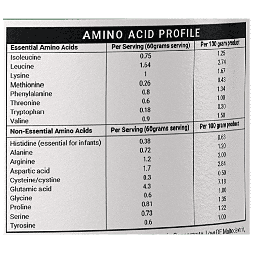 INLIFE Vegan Protein Meal Shake Powder - Mixed Berry Flavour, 17.5g Protein, Non-Dairy, Lactose-Free, 500 g  