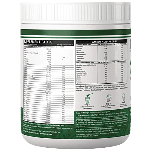 INLIFE Vegan Protein Meal Shake Powder - Mixed Berry Flavour, 17.5g Protein, Non-Dairy, Lactose-Free, 500 g  