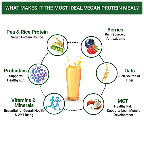 INLIFE Vegan Protein Meal Shake Powder - Mango, 17.5g Protein, Non-Dairy, Lactose-Free, 500 g  