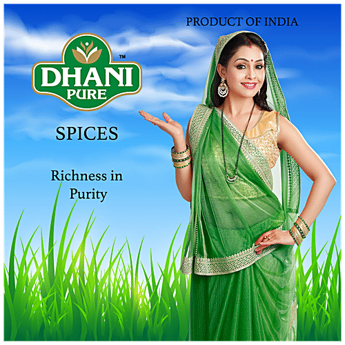 Dhani Pure Meat Masala - Natural, No Artificial Colours & Preservatives, 100 g Box 