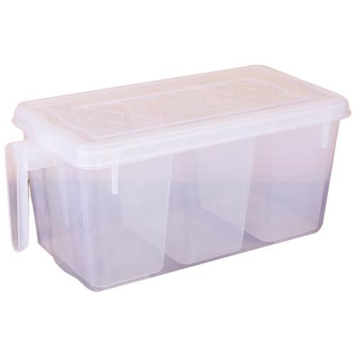 Buy AMBITION Multi-Fridge Food Storage Container - Plastic, Sturdy Handle,  BPA Free, Transparent Online at Best Price of Rs 259 - bigbasket