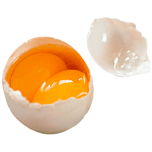 Buy Fresho Double Yolk Egg Online at Best Price of Rs 65 - bigbasket