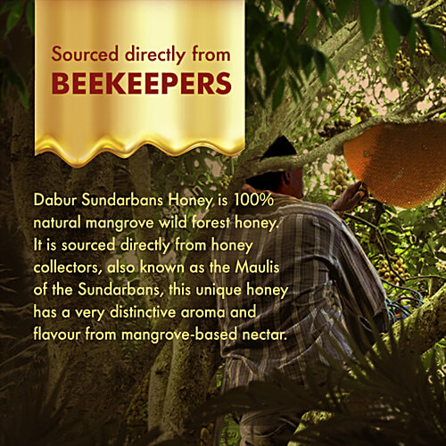 Dabur Honey Sundeabans Forest Honey - Pure, Raw & Unprocessed, Rich In Antioxidants, 500 g