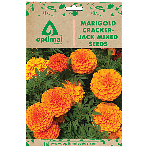 Buy Optimal Seeds Marigold CrackerJack Mixed Flower Seeds Online at