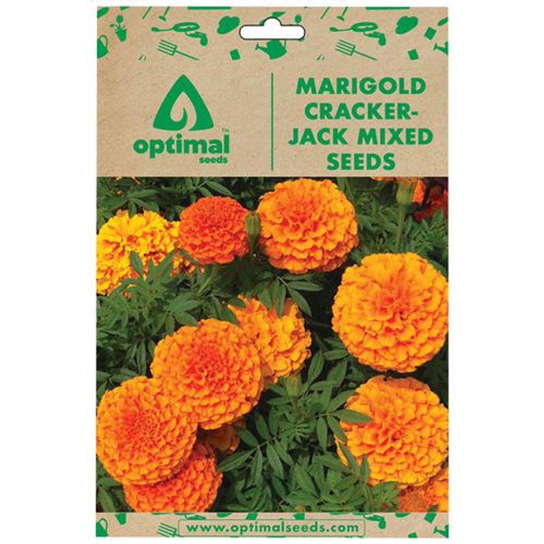 Optimal Seeds Marigold Cracker-Jack Mixed Flower Seeds, 50 pcs 