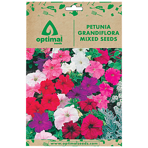 Buy Optimal Seeds Petunia Grandiflora Mixed Flower Seeds Online at Best