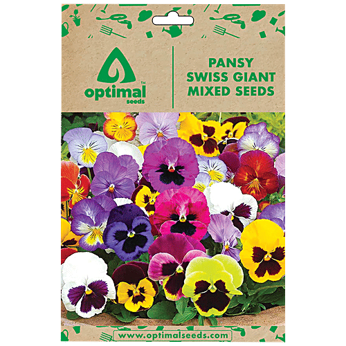 Buy Optimal Seeds Pansy Swiss Giant Mixed Flower Seeds Online at Best