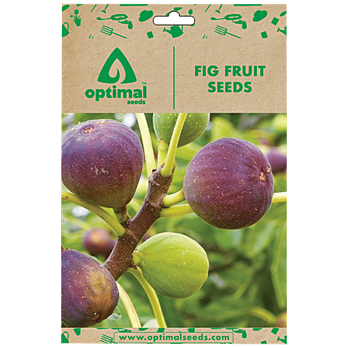 Buy Optimal Seeds Fig Fruit Seeds Online at Best Price of Rs 179