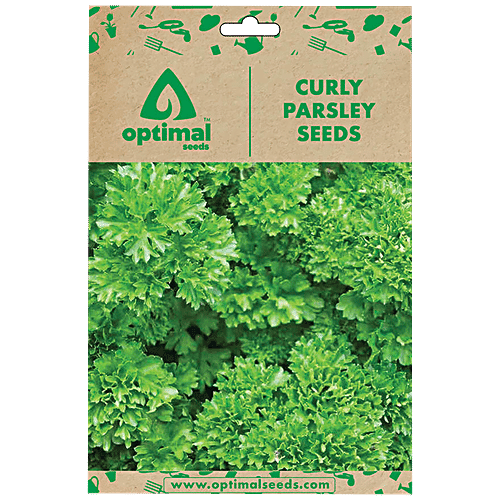 Buy Optimal Seeds Curly Parsley Herb Seeds Online at Best Price of Rs