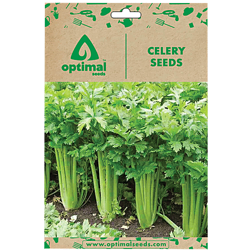 Buy Optimal Seeds Celery Herb Seeds Online at Best Price of Rs 149