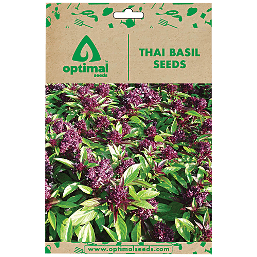 Optimal Seeds Thai Basil Herb Seeds, 50 pcs  