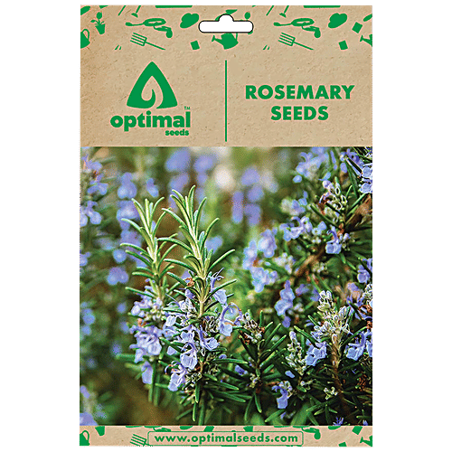 Buy Optimal Seeds Rosemary Herb Seeds Online at Best Price of Rs 179