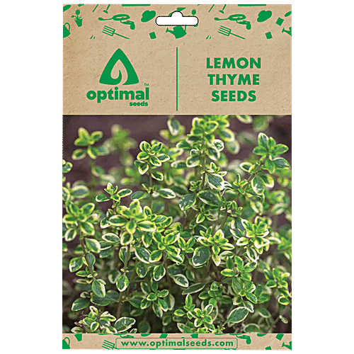 Buy Optimal Seeds Lemon Thyme Herb Seeds Online at Best Price of Rs 179