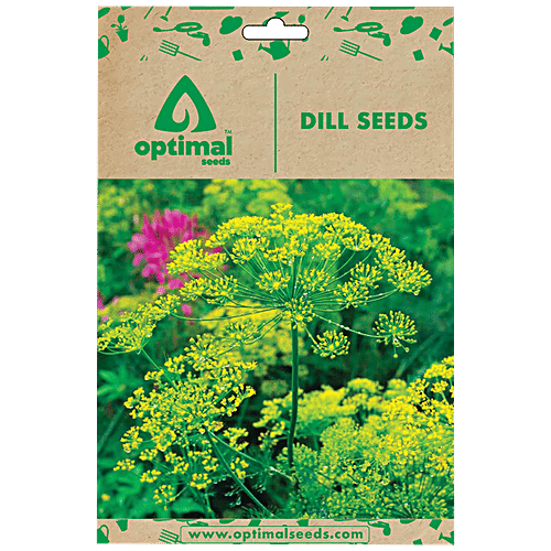 Buy Optimal Seeds Dill Herb Seeds Online at Best Price of Rs 179