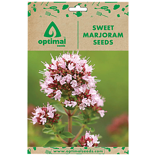 Buy Optimal Seeds Sweet Marjoram Herb Seeds Online at Best Price of Rs