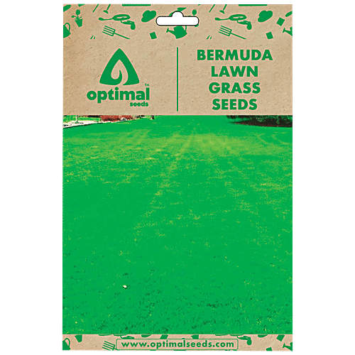Buy Optimal Seeds Bermuda Lawn Grass Seeds Online at Best Price of Rs