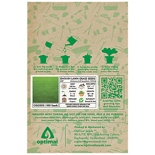 Optimal Seeds English Lawn Grass Seeds, 500 pcs  