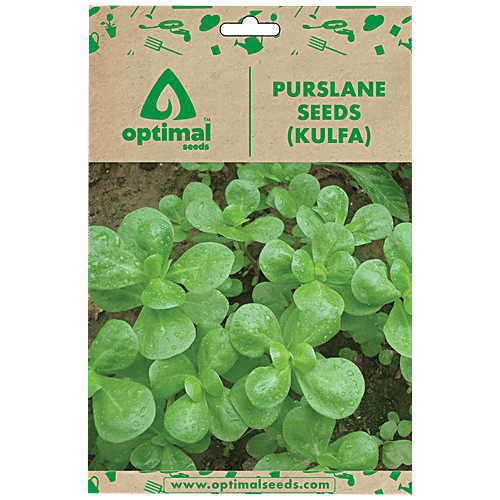 Buy Optimal Seeds Purslane/Kulfa Leafy Vegetable Seeds Online at Best