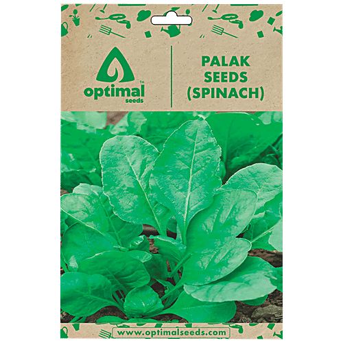 Optimal Seeds Palak/Spinach Leafy Vegetable Seeds, 500 pcs  