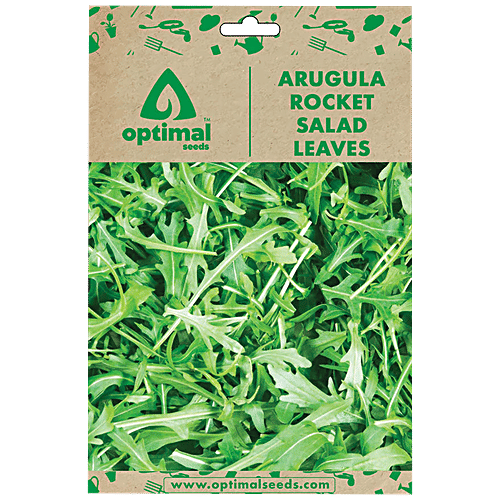 Buy Optimal Seeds Arugula Rocket Salad Leafy Vegetable Seeds Online at