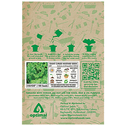 Optimal Seeds Giant Curled Mustard Leafy Vegetable Seeds, 100 pcs  
