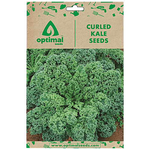 Buy Optimal Seeds Curled Kale Leafy Vegetable Seeds Online at Best