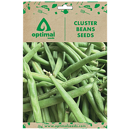 Buy Optimal Seeds Cluster Beans Vegetable Seeds Online at Best Price of