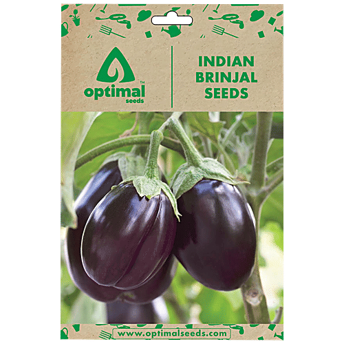 Buy Optimal Seeds Indian Brinjal Vegetable Seeds Online at Best Price