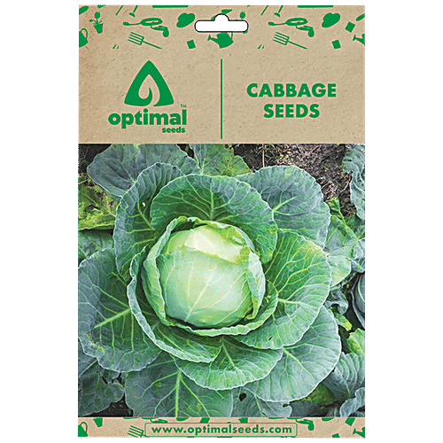 Buy Optimal Seeds Cabbage Vegetable Seeds Online at Best Price of Rs
