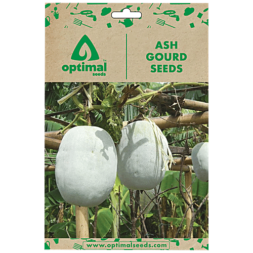 Optimal Seeds Ash Gourd Vegetable Seeds, 10 pcs  