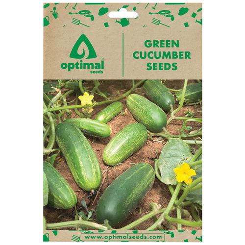 Optimal Seeds Green Cucumber Vegetable Seeds, 50 pcs  