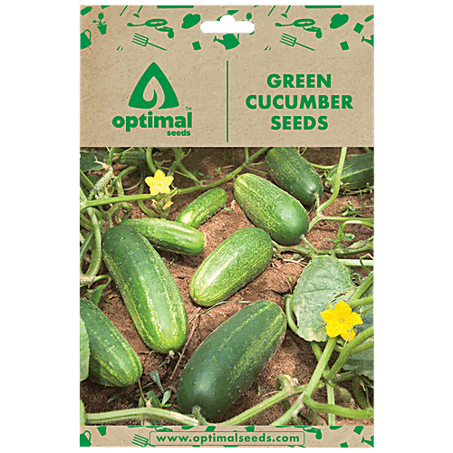 Buy Optimal Seeds Green Cucumber Vegetable Seeds Online at Best Price