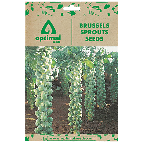 Buy Optimal Seeds Brussels Sprouts Vegetable Seeds Online at Best Price