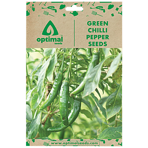 Buy Optimal Seeds Green Chilli Pepper Seeds Online at Best Price of Rs