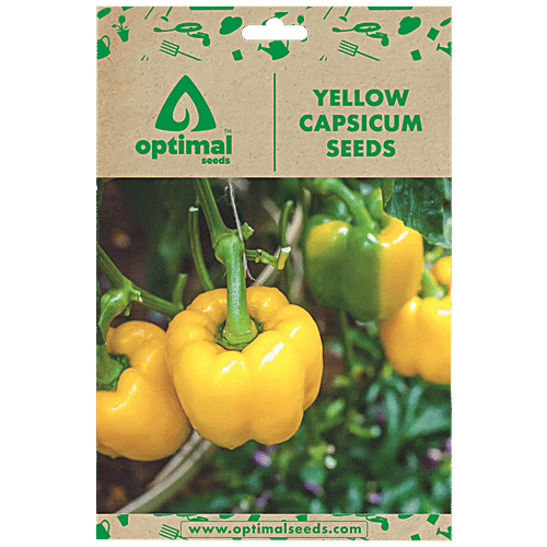 Buy Optimal Seeds Yellow Capsicum Vegetable Seeds Online at Best Price
