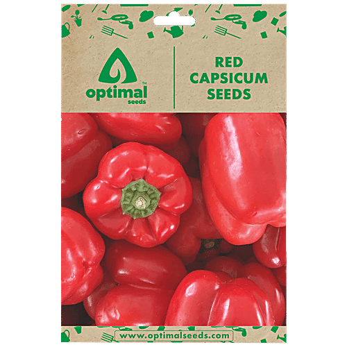 Buy Optimal Seeds Red Capsicum Vegetable Seeds Online at Best Price of