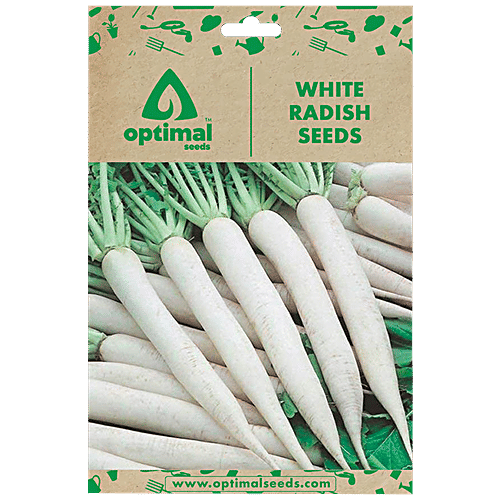 Buy Optimal Seeds White Radish Vegetable Seeds Online at Best Price of