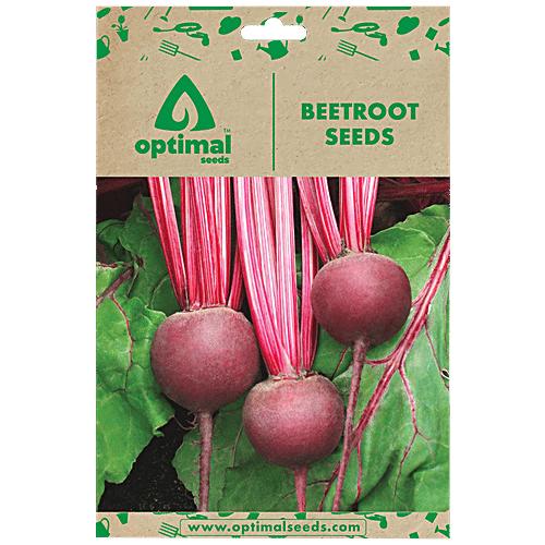 Buy Optimal Seeds Beetroot Vegetable Seeds Online at Best Price of Rs 179 bigbasket