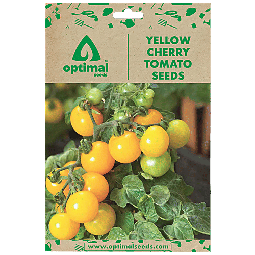 Buy Optimal Seeds Yellow Cherry Tomato Vegetable Seeds Online at Best Price of Rs 179 bigbasket