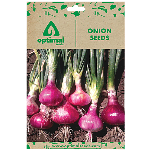 Buy Optimal Seeds Onion Vegetable Seeds Online at Best Price of Rs 179