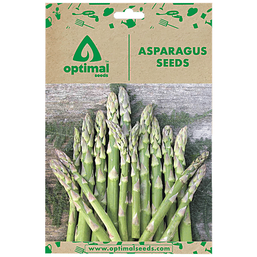 Buy Optimal Seeds Asparagus Vegetable Seeds Online at Best Price of Rs