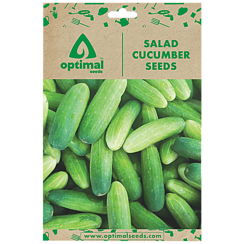 Buy Optimal Seeds Salad Cucumber Vegetable Seeds Online at Best Price
