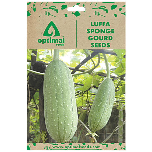 Buy Optimal Seeds Luffa Sponge Gourd Vegetable Seeds Online at Best